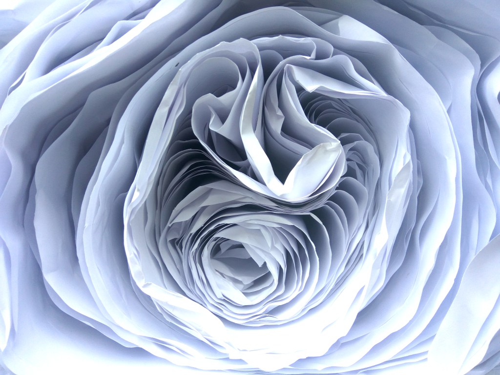 Photo@Sabrina Huth
Close-up Paper Body Flower